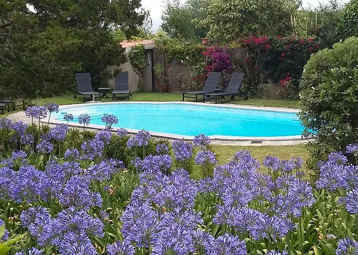 Quinta Colina Flora Nocleg ze śniadaniem